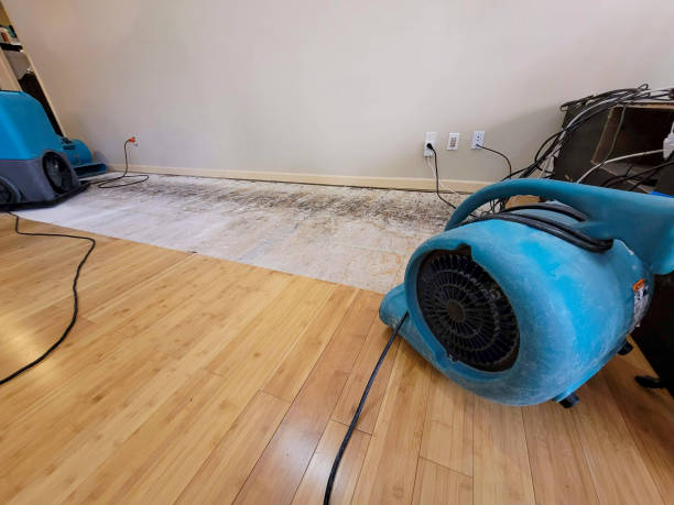 Professional Sewage Cleanup technician working in Calverton, MD